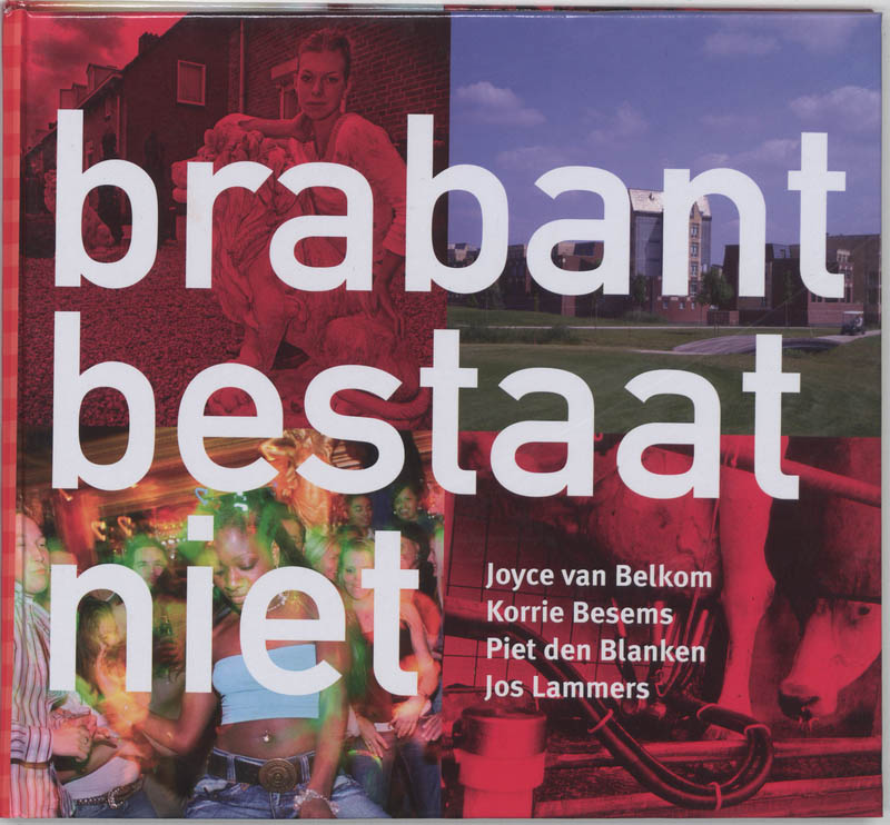 Omslag van Brabant bestaat niet