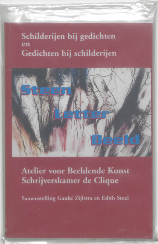 Omslag van SteenLetterBeeld