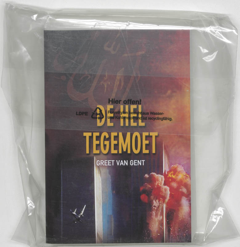 Omslag van De hel tegemoet