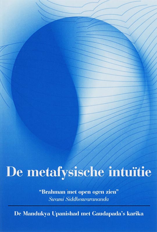 Omslag van De metafysische intuitie