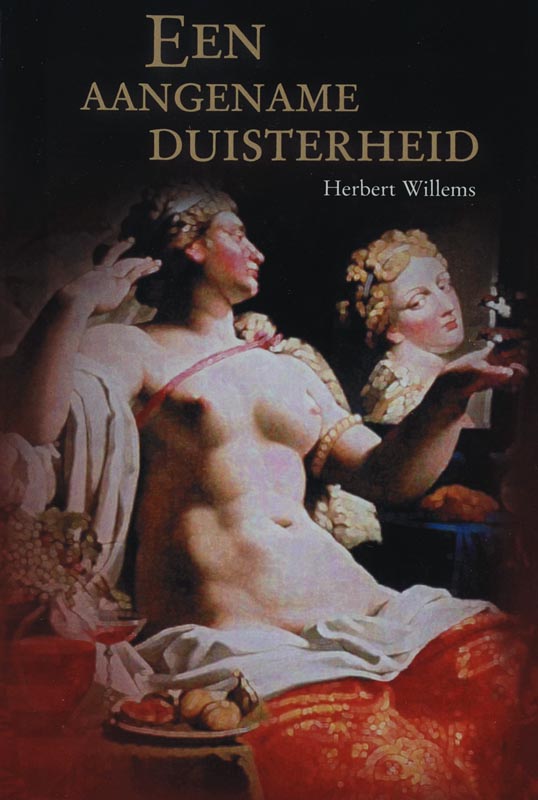 Omslag van Een aangename duisterheid