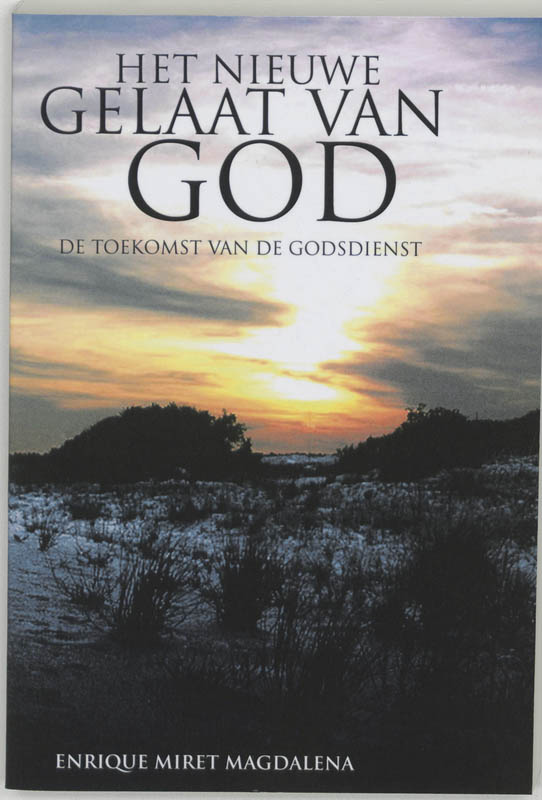 Omslag van Het nieuwe gelaat van God