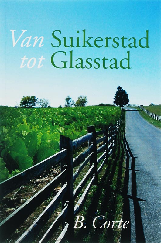 Omslag van Van Suikerstad tot Glasstad