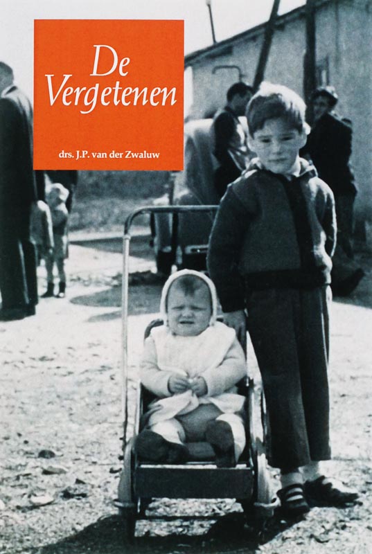 Omslag van De vergetenen