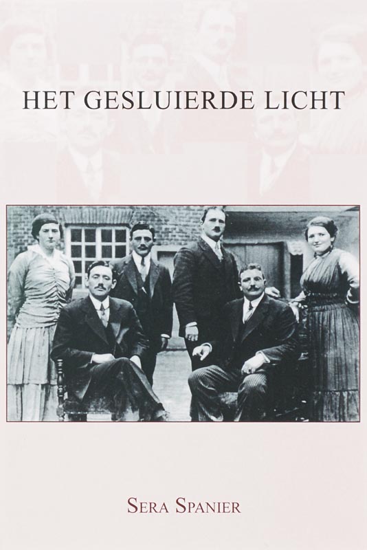 Omslag van Het gesluierde licht