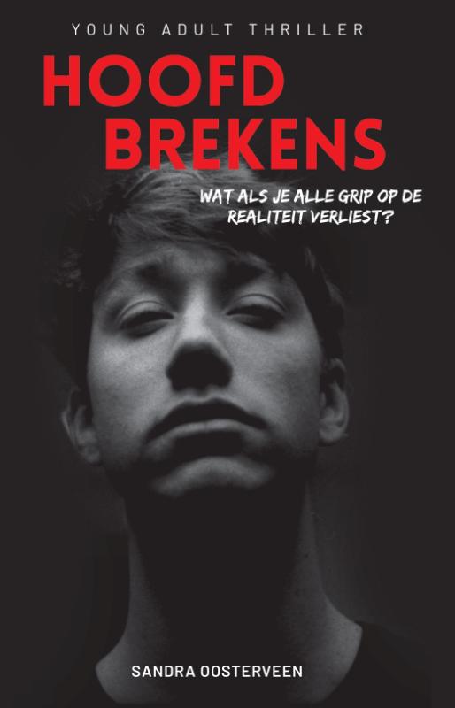 Omslag van Hoofdbrekens