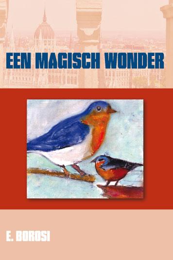 Omslag van Een magisch wonder