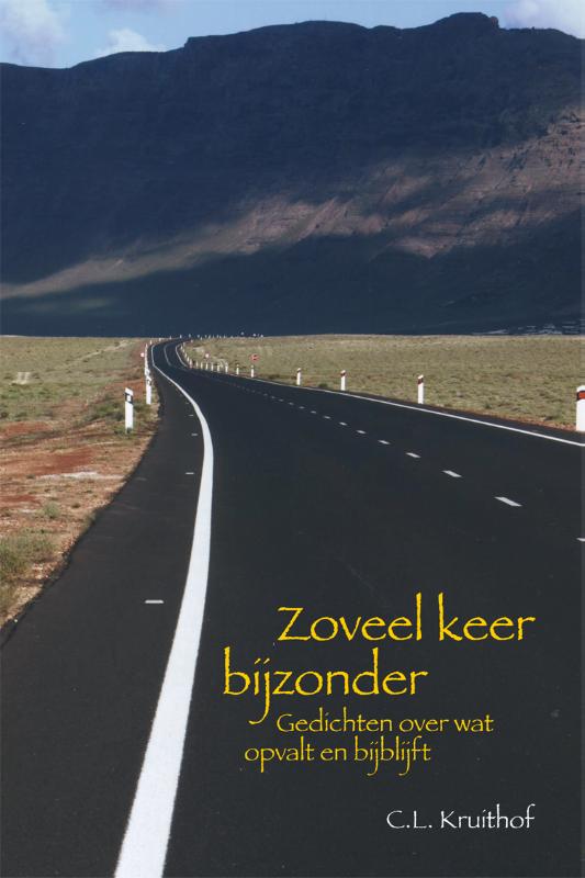Omslag van Zoveel keer bijzonder