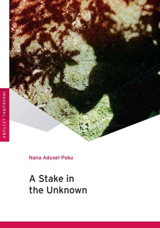 Omslag van A stake in the unknown