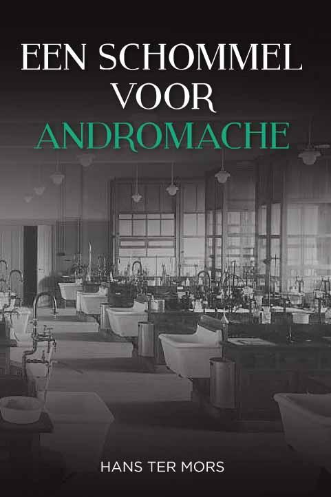 Omslag van Een schommel voor Andromache