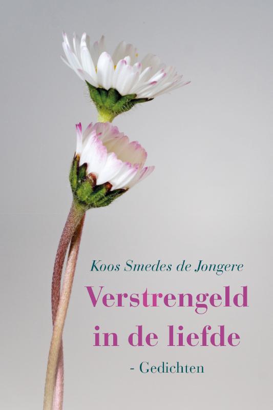 Omslag van Verstrengeld in de liefde