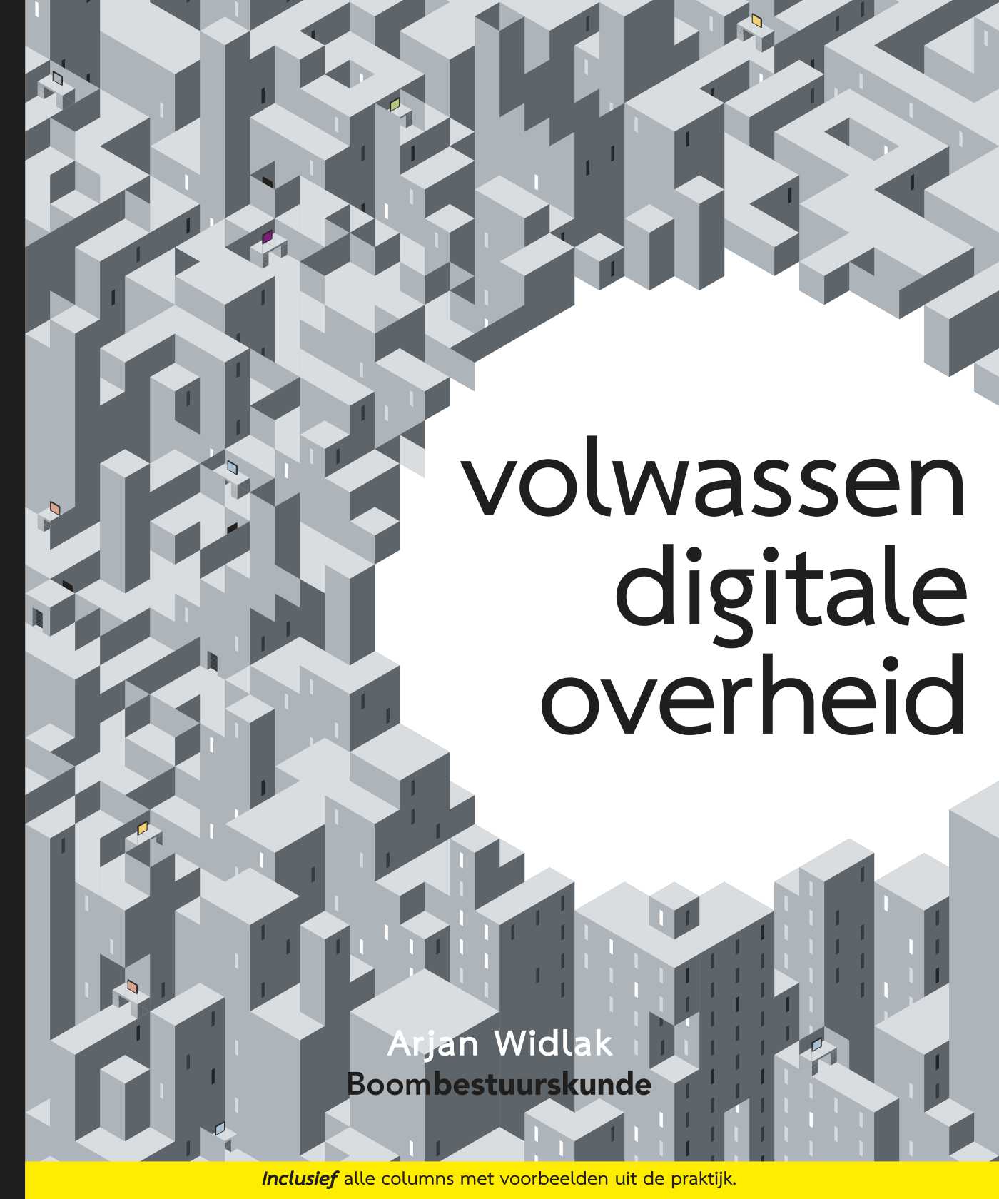 Omslag van Volwassen digitale overheid
