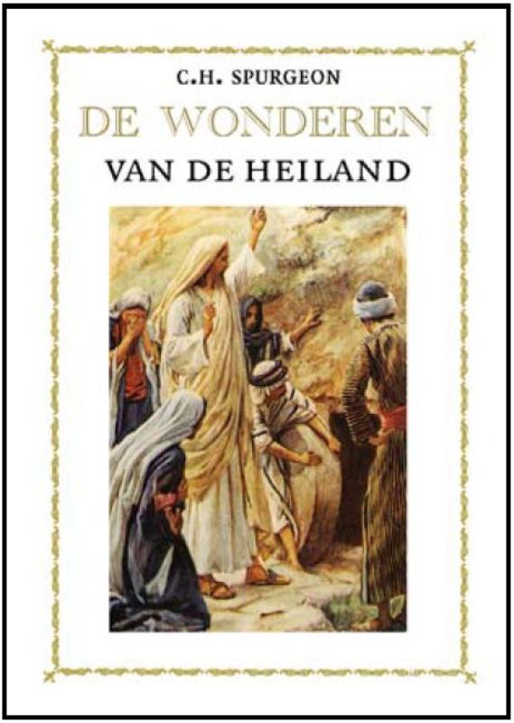 Omslag van De wonderen van de Heiland