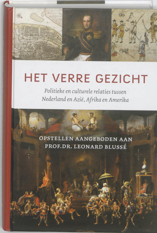 Omslag van Het verre gezicht