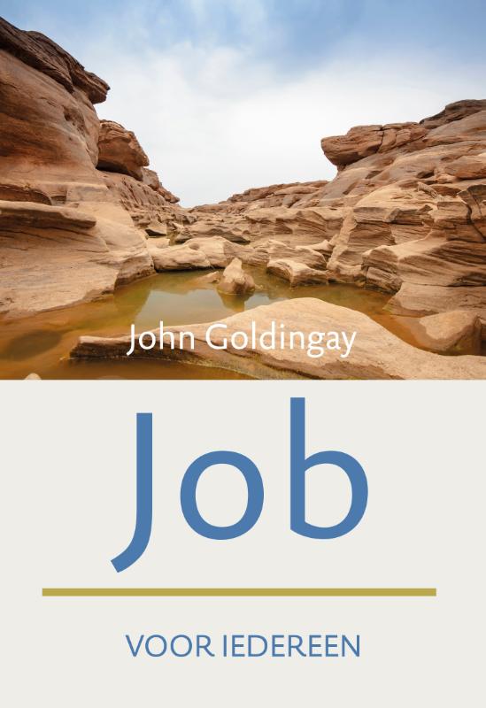 Omslag van Job voor iedereen