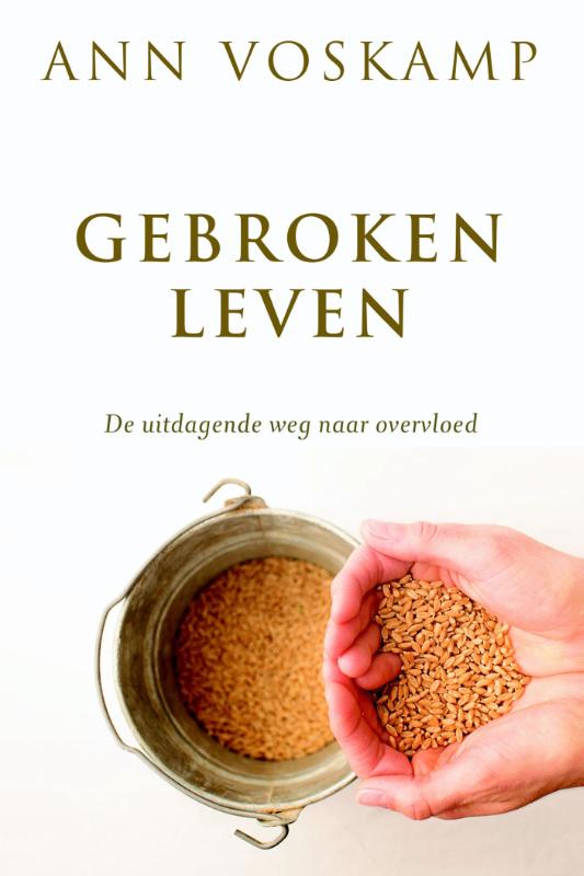 Omslag van Gebroken leven