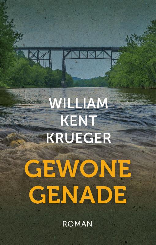 Omslag van Gewone genade