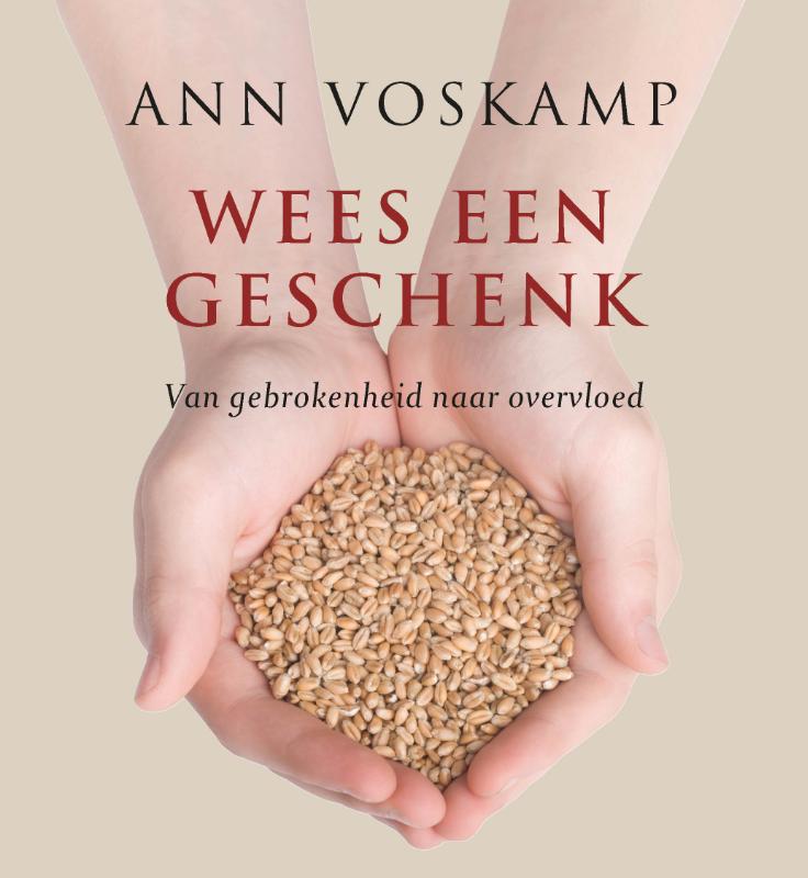 Omslag van Wees een geschenk