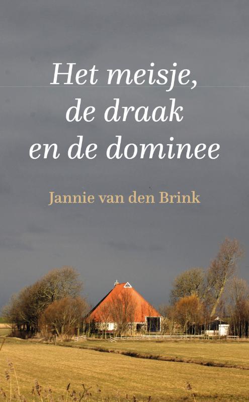 Omslag van Het meisje, de draak en de dominee
