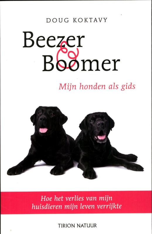 Omslag van Beezer en Boomer