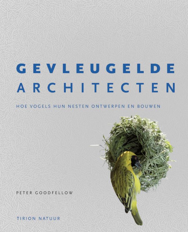 Omslag van Gevleugelde architecten