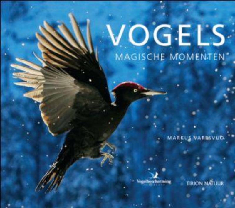 Omslag van Vogels, magische momenten