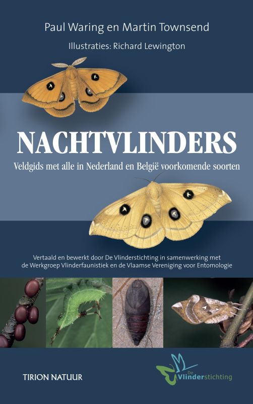 Omslag van Nachtvlinders