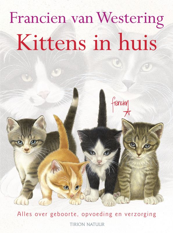 Omslag van Kittens in huis