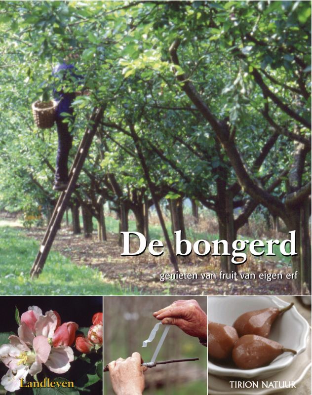 Omslag van De bongerd