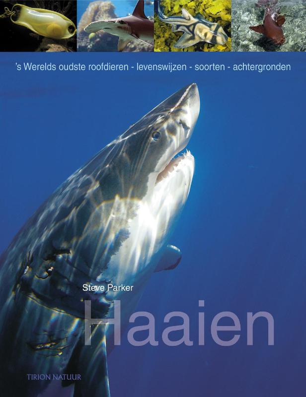 Omslag van Haaien