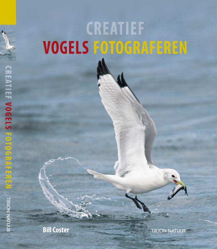 Omslag van Creatief vogels fotograferen