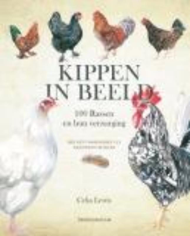 Omslag van Kippen in Beeld