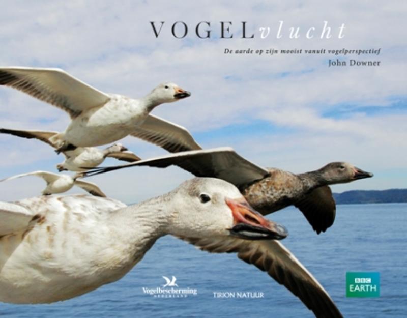 Omslag van Vogelvlucht
