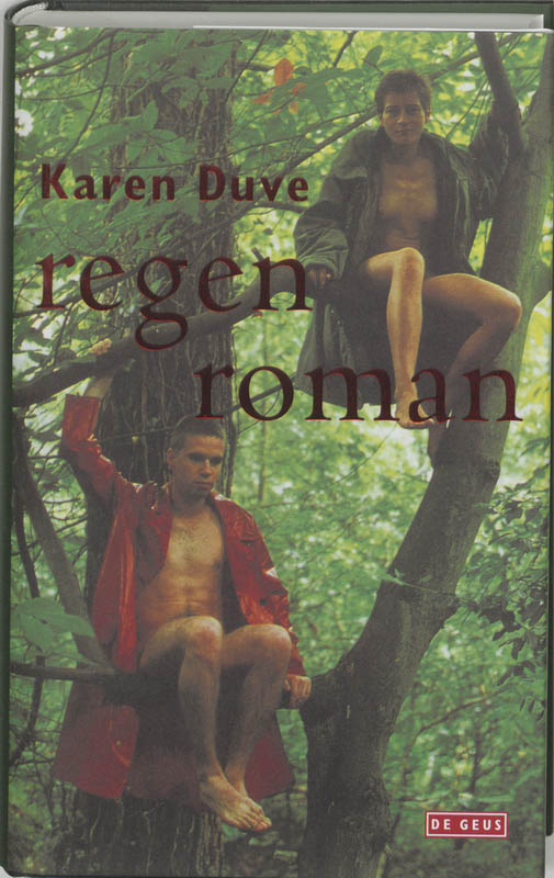 Omslag van Regenroman