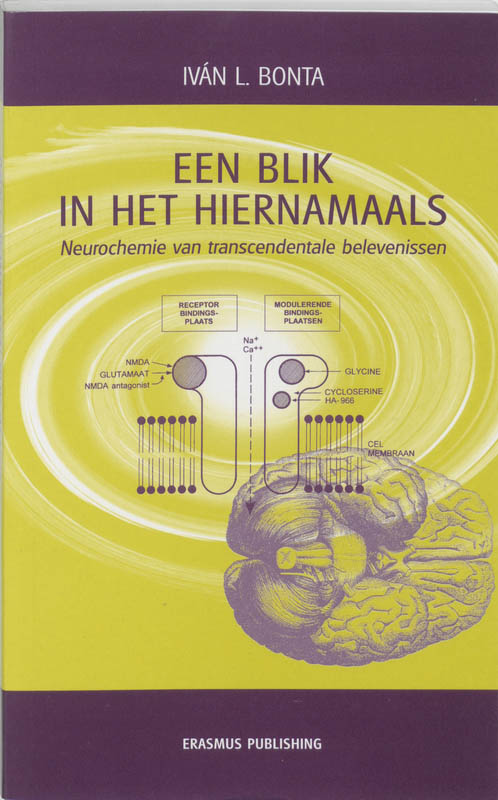Omslag van Een blik in het hiernamaals