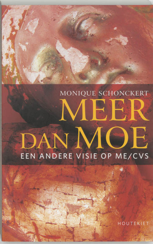 Omslag van Meer dan moe