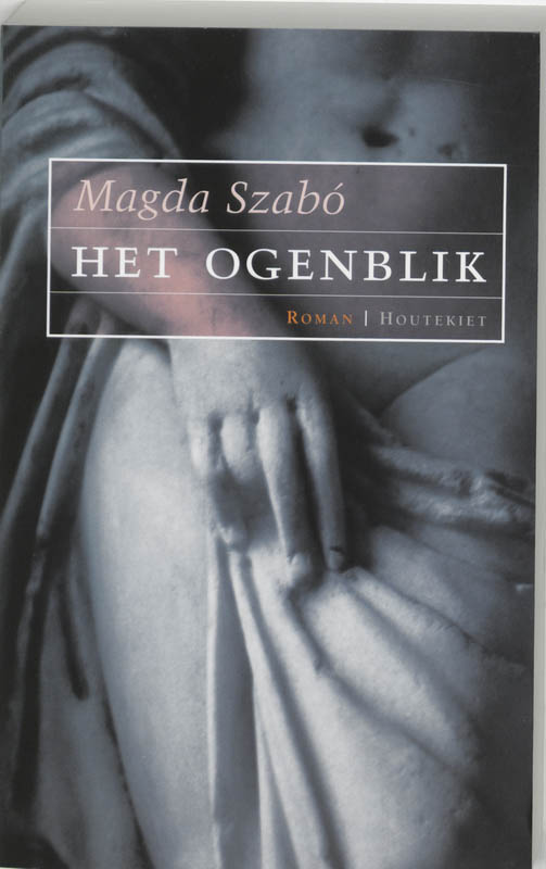 Omslag van Het ogenblik