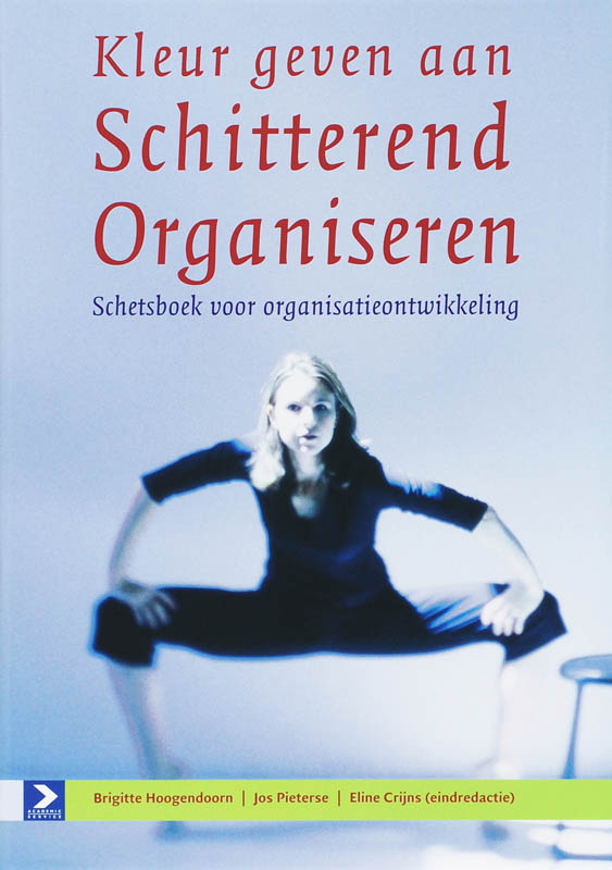 Omslag van Kleur geven aan schitterend organiseren