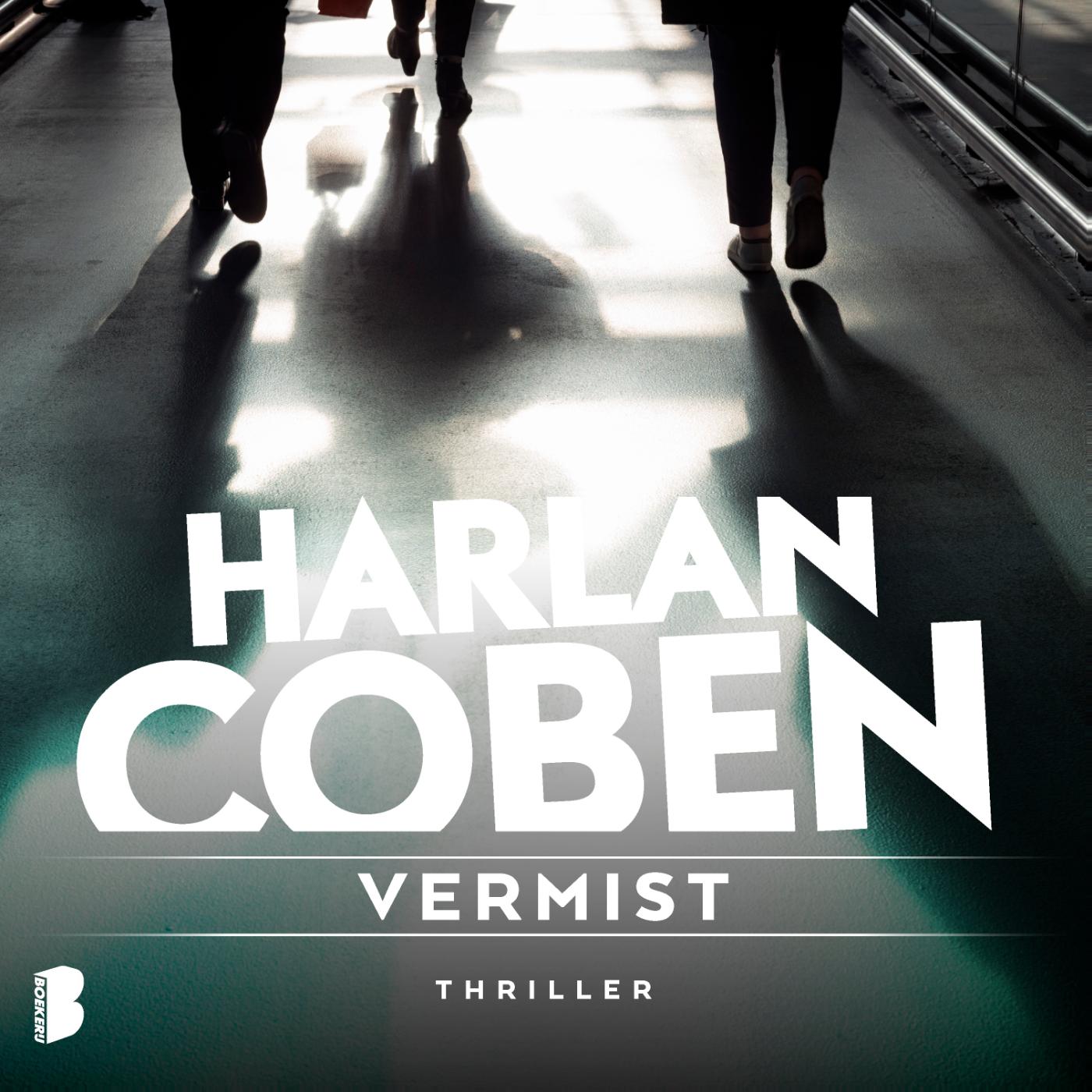 Omslag van Vermist