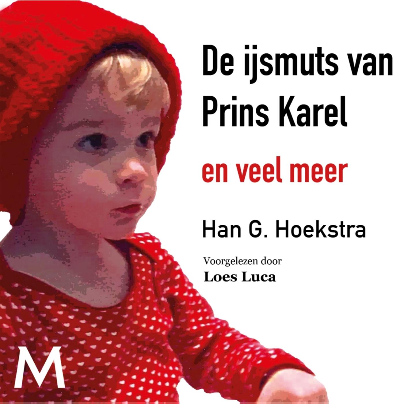 Omslag van De ijsmuts van Prins Karel
