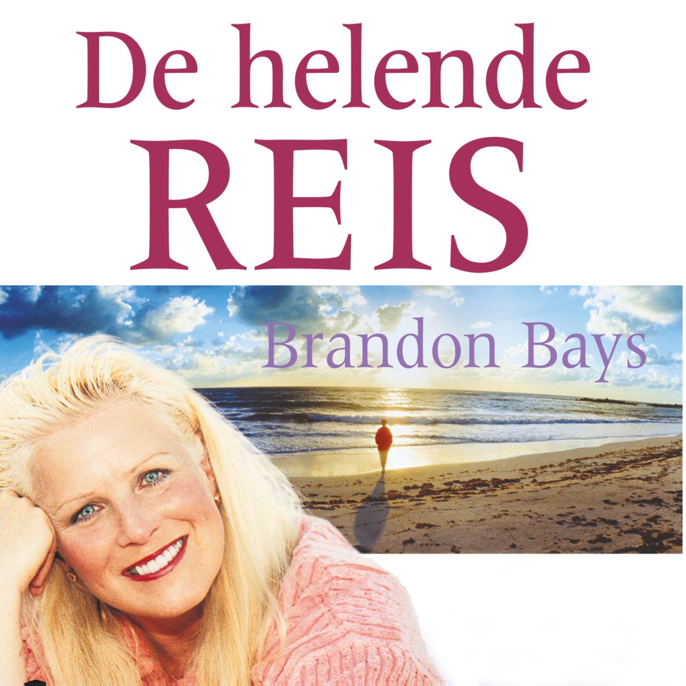 Omslag van De helende reis