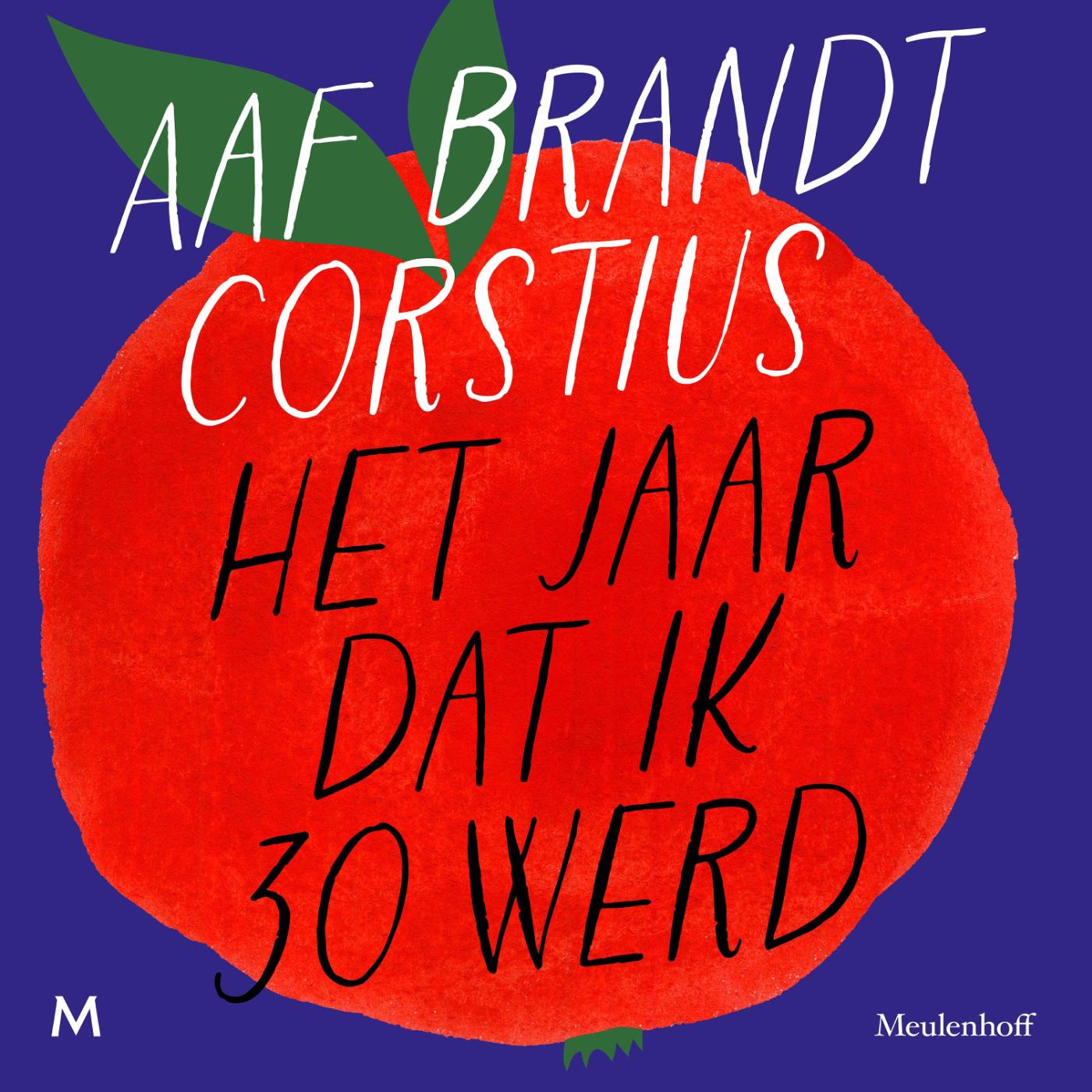 Omslag van Het jaar dat ik 30 werd