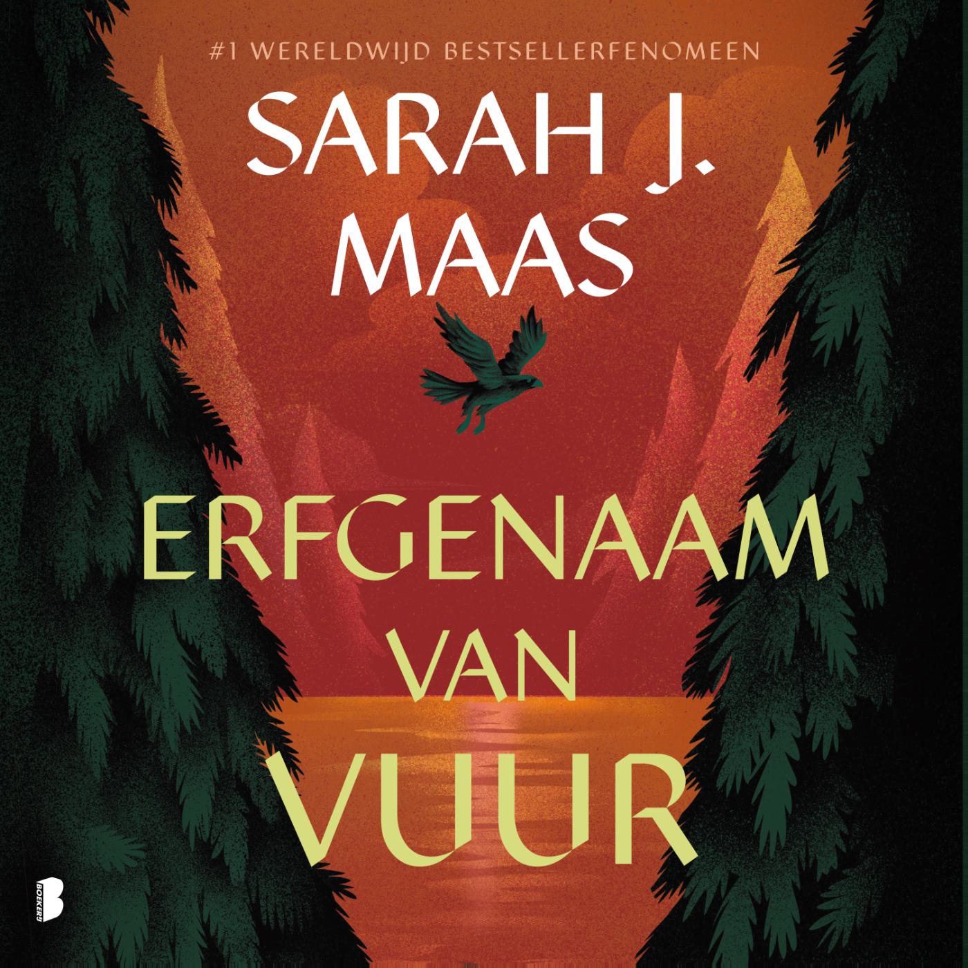 Omslag van Erfgenaam van vuur
