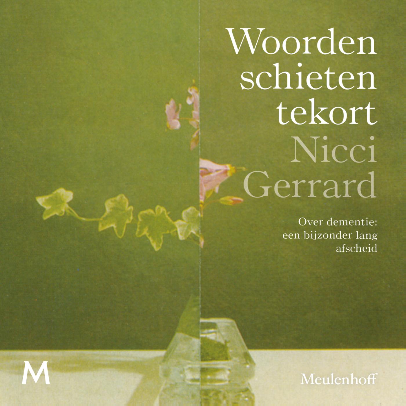 Omslag van Woorden schieten tekort