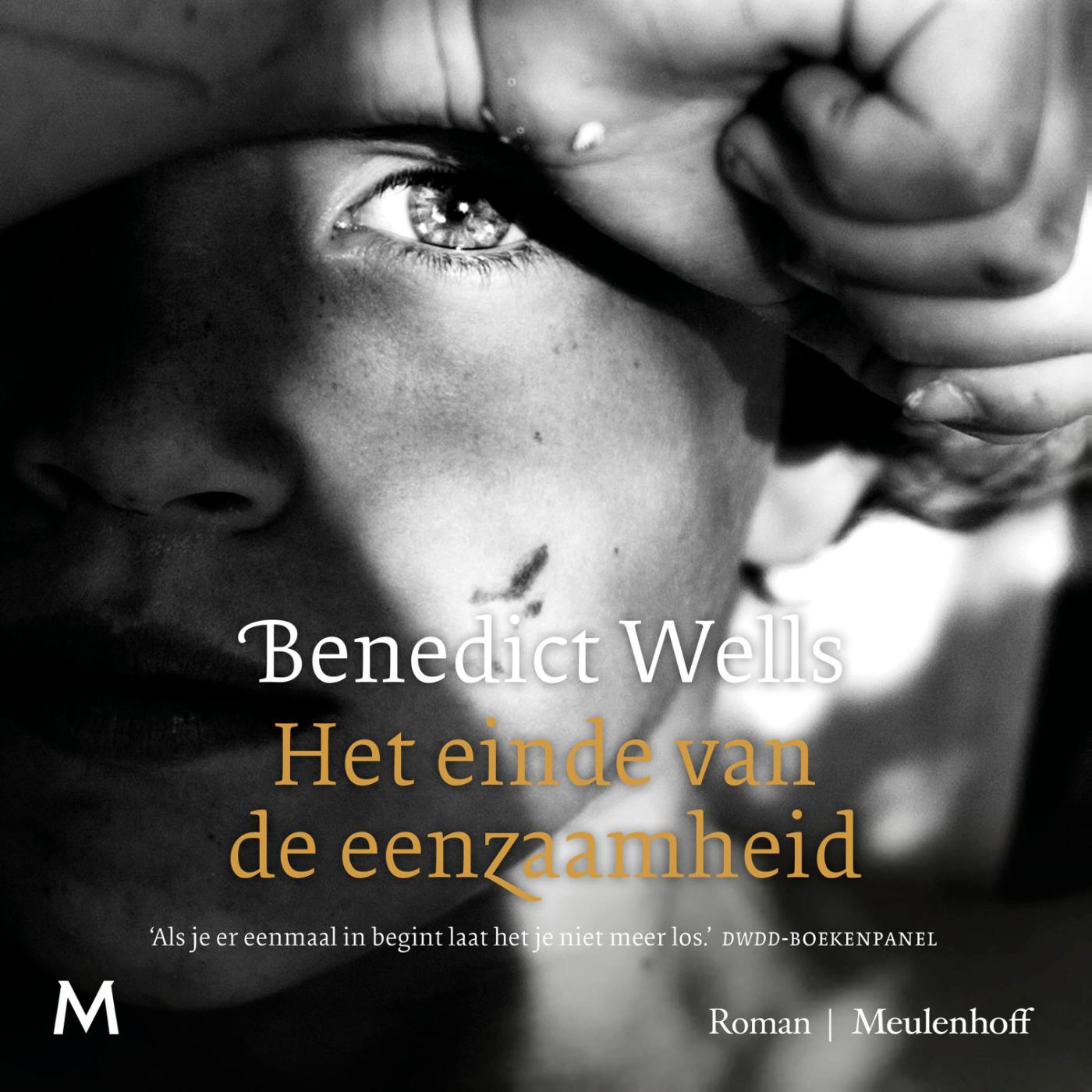 Omslag van Het einde van de eenzaamheid