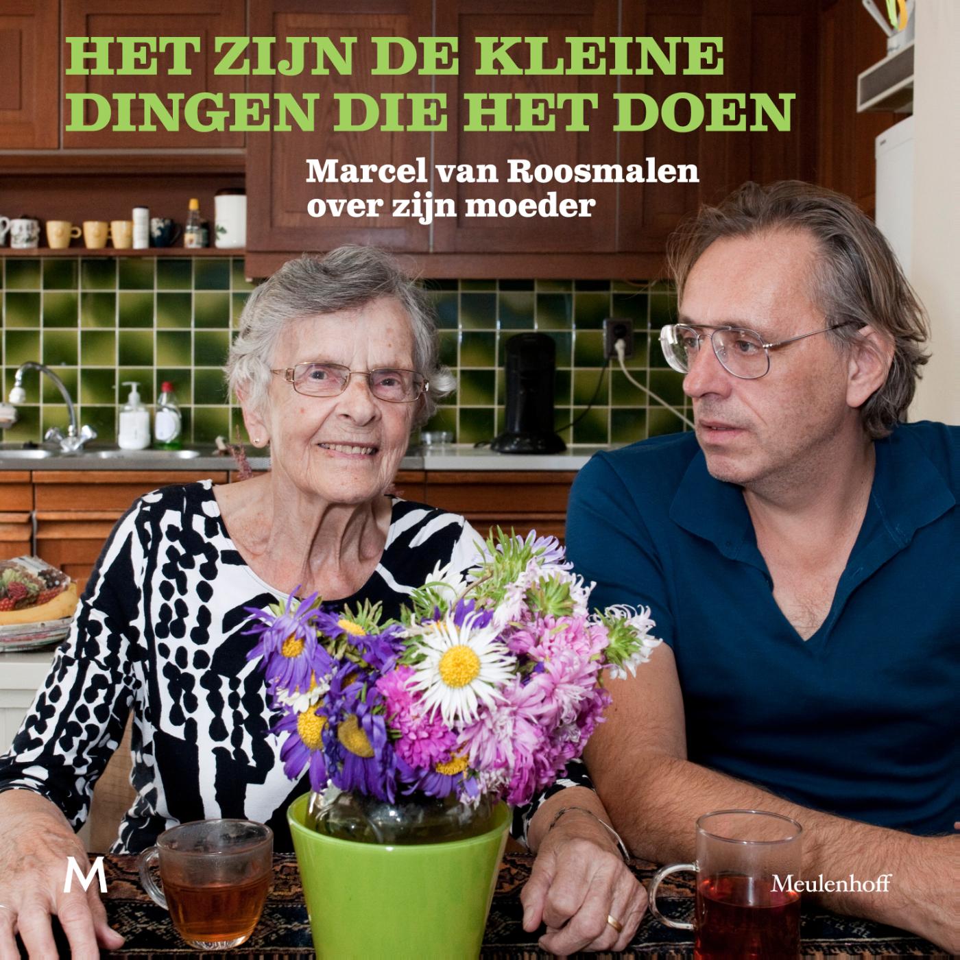 Omslag van Het zijn de kleine dingen die het doen