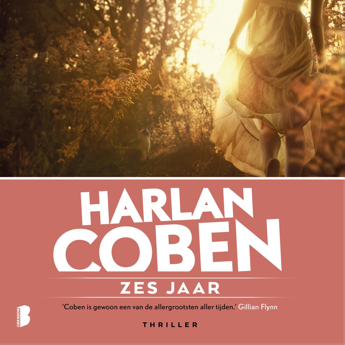 Omslag van Zes jaar