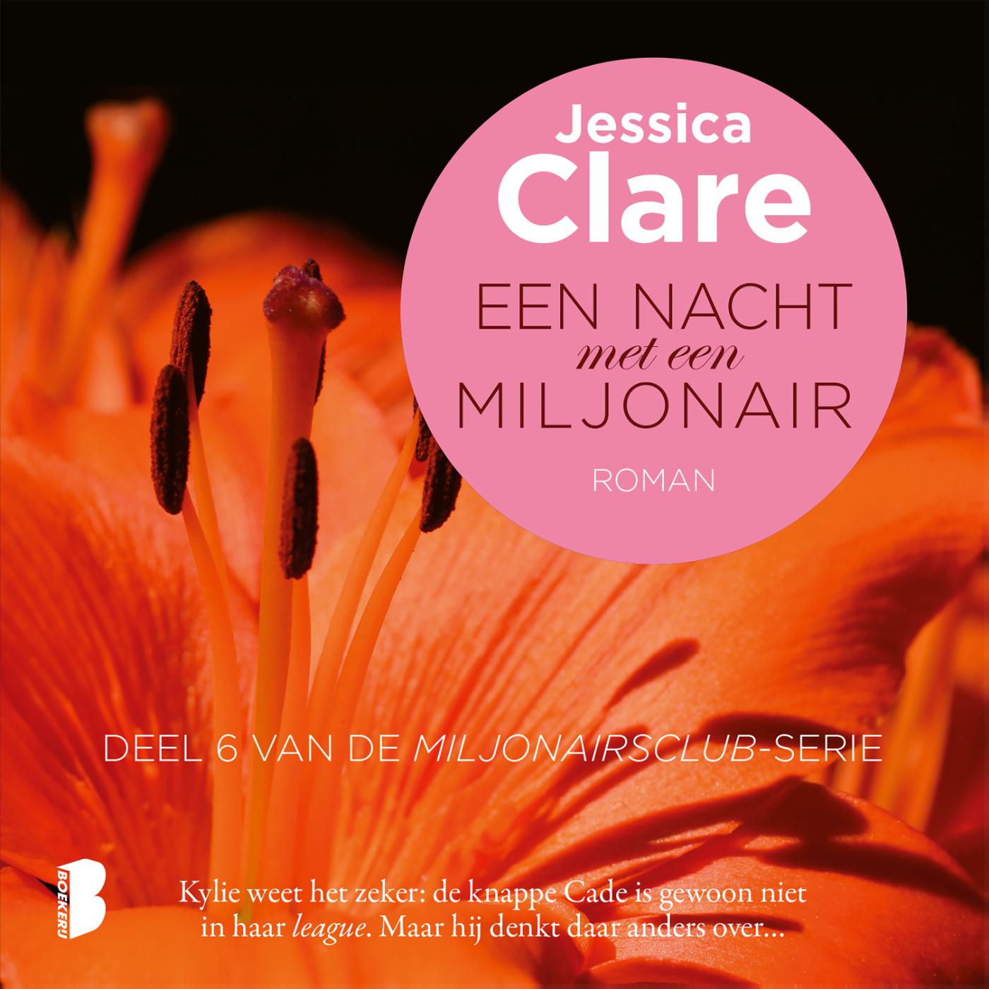 Omslag van Een nacht met een miljonair