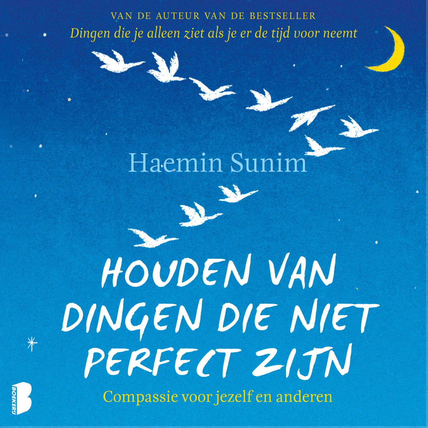 Omslag van Houden van dingen die niet perfect zijn