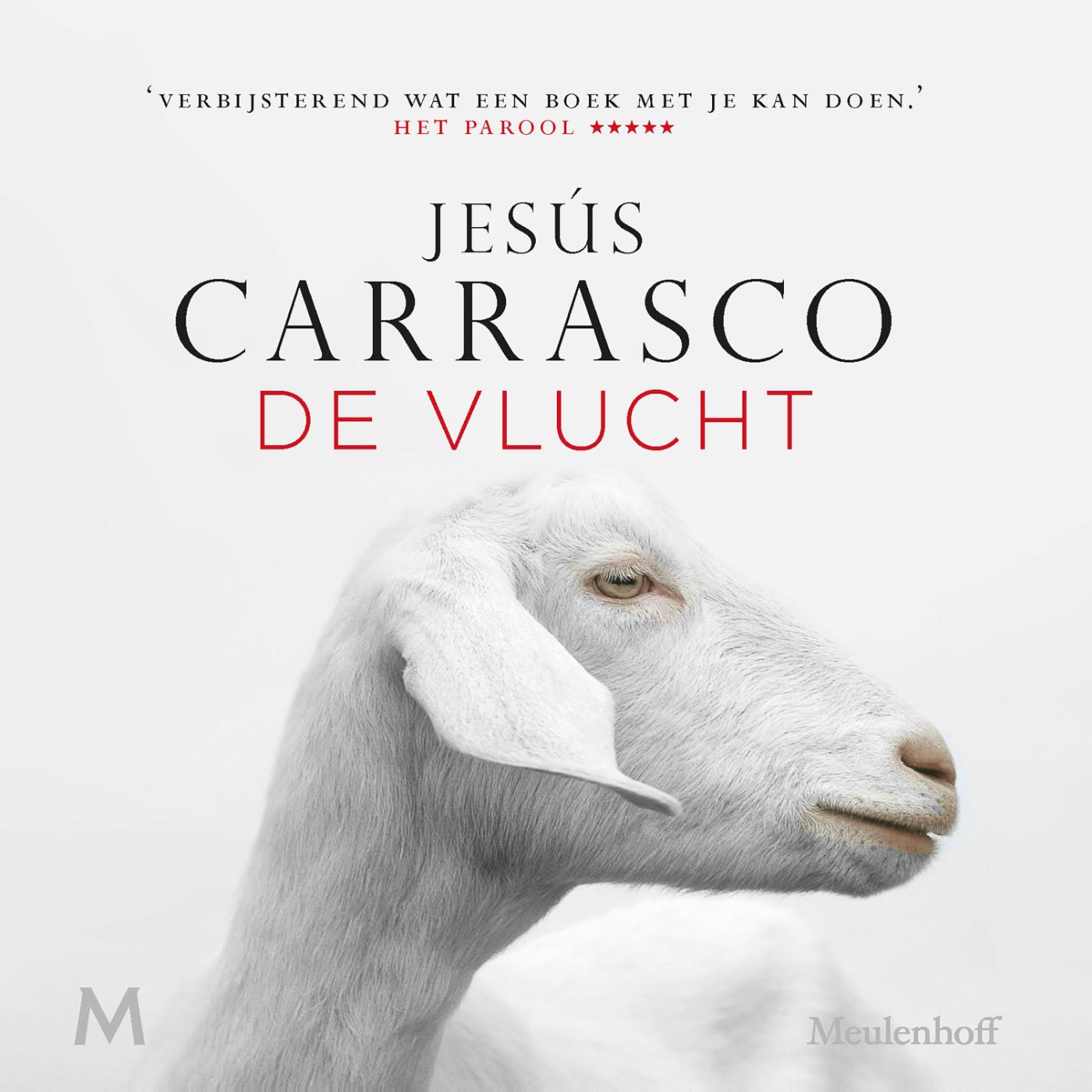 Omslag van De vlucht